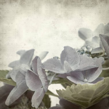 desenli eski kağıt arkaplan  