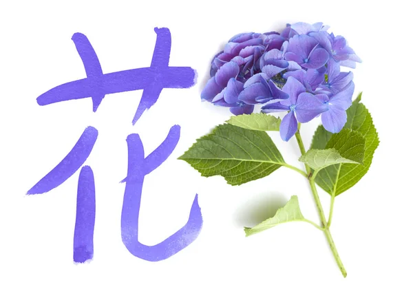 日本語または中国語のシンボル — ストック写真