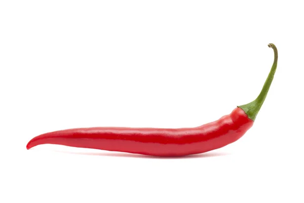 Hot chili pepper — Stock Photo, Image