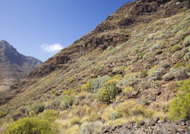 Batı Gran Canaria, Mayıs