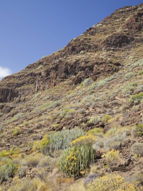Batı Gran Canaria, Mayıs