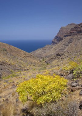 Batı Gran Canaria, Mayıs