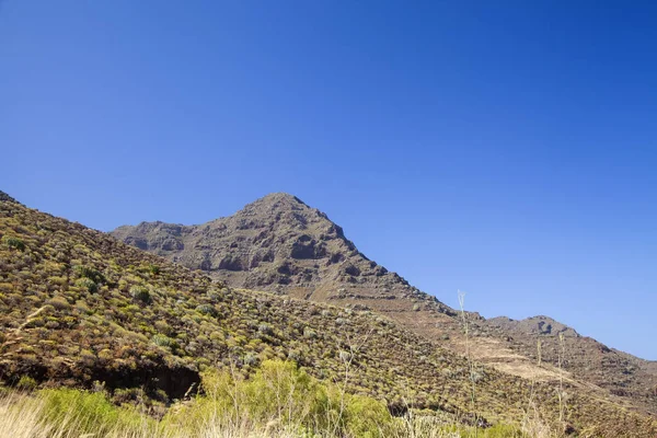 Western Gran Canaria, May — Stock Photo, Image