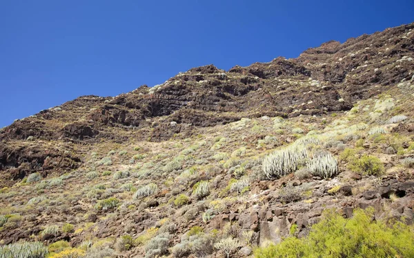 Batı Gran Canaria, Mayıs — Stok fotoğraf