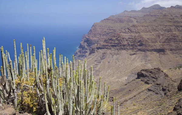Oeste de Gran Canaria, mayo — Foto de Stock