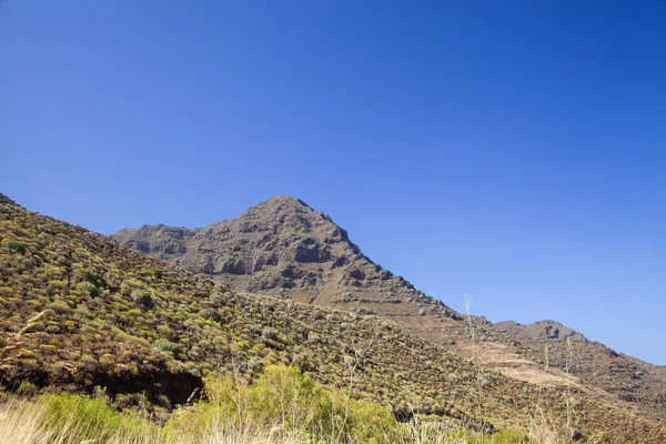 Westliche Gran Canaria, Mai — Stockfoto