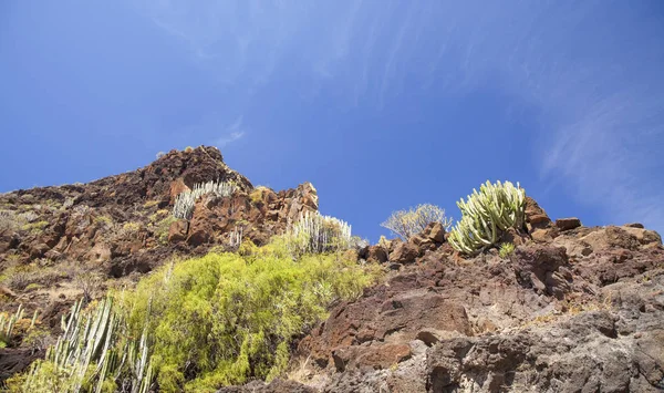 Western Gran Canaria, maja — Zdjęcie stockowe