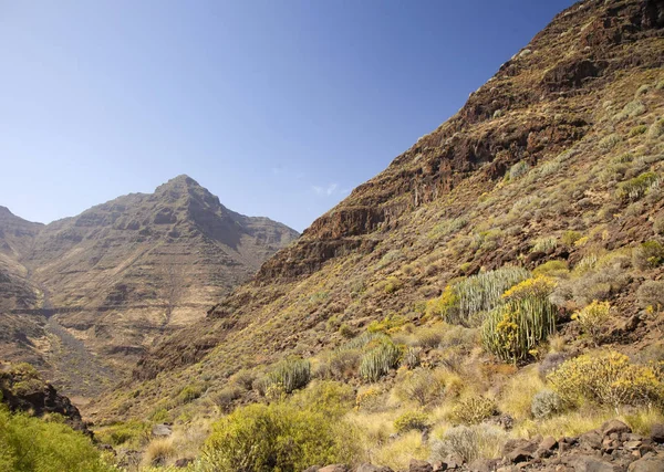 Western Gran Canaria, maja — Zdjęcie stockowe