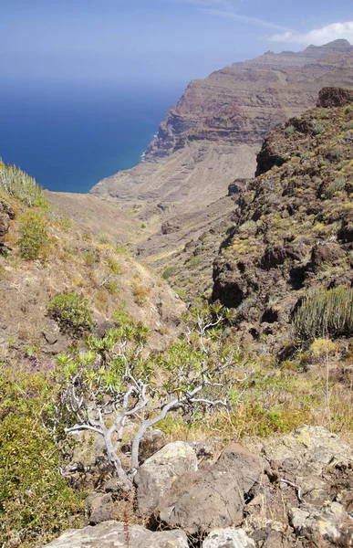 Gran Canaria Ocidental, Maio — Fotografia de Stock