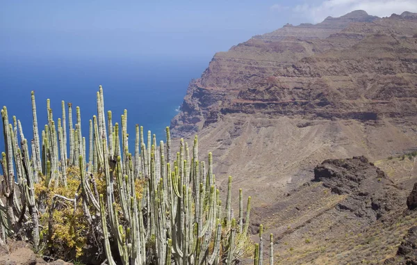 Gran Canaria Ocidental, Maio — Fotografia de Stock