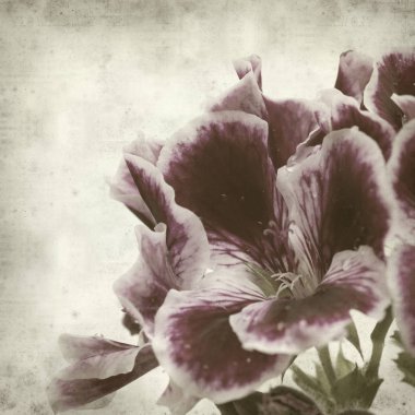 desenli eski kağıt arkaplan  