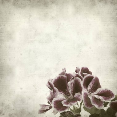 desenli eski kağıt arkaplan  