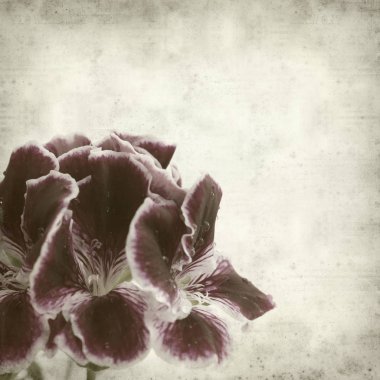 desenli eski kağıt arkaplan  