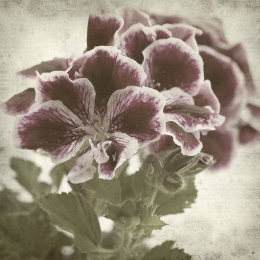 desenli eski kağıt arkaplan  