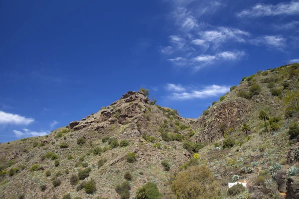 Gran Canaria, juni — Stockfoto