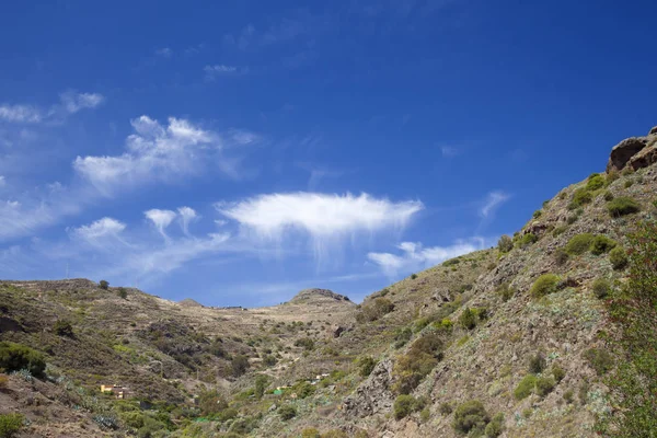 Gran Canaria, czerwiec — Zdjęcie stockowe