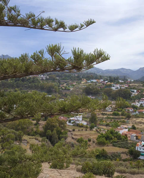 Gran canaria, juni — Stockfoto