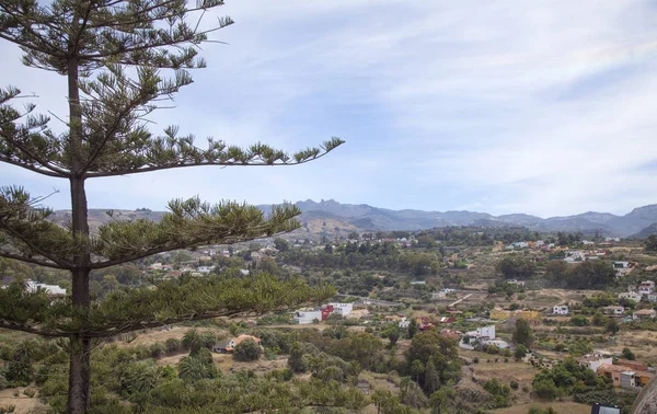 Gran Canaria, juni — Stockfoto