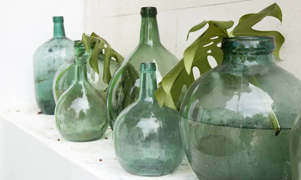 Vintage tuin decor - oude glas containers en monstera bladeren — Stockfoto