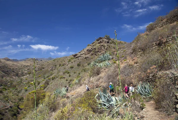 Gran Canaria, junio —  Fotos de Stock