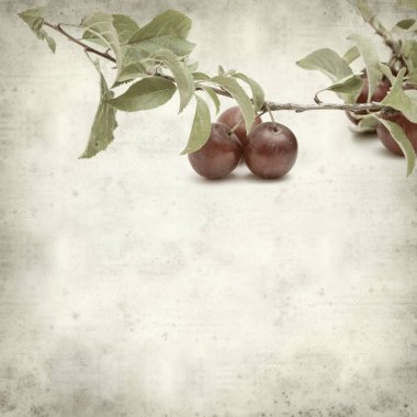 desenli eski kağıt arkaplan  