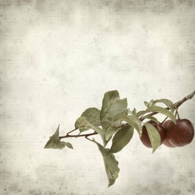 desenli eski kağıt arkaplan  