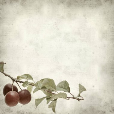 desenli eski kağıt arkaplan  