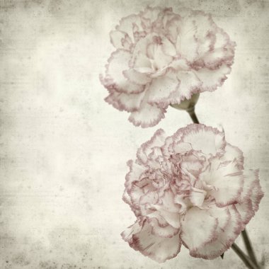 desenli eski kağıt arkaplan  