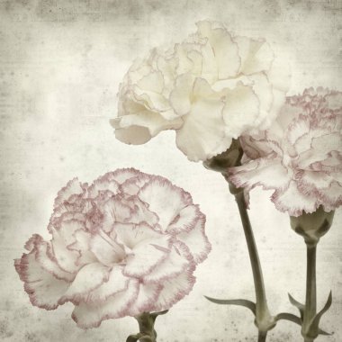 desenli eski kağıt arkaplan  