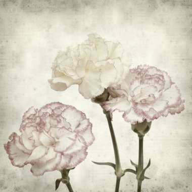 desenli eski kağıt arkaplan  