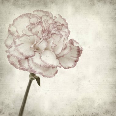 desenli eski kağıt arkaplan  