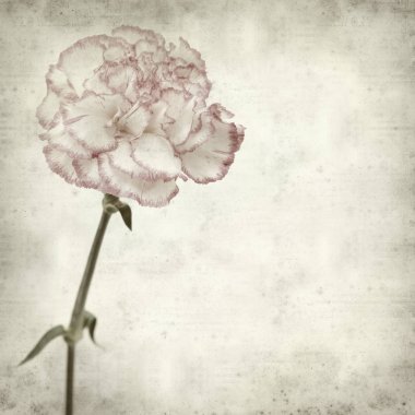 desenli eski kağıt arkaplan  