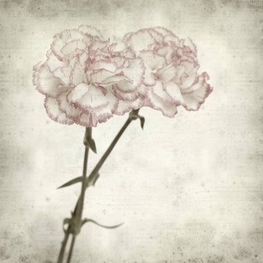 desenli eski kağıt arkaplan  