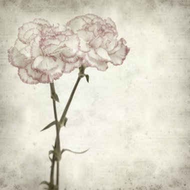 desenli eski kağıt arkaplan  