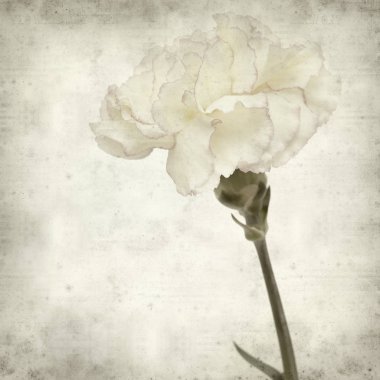 desenli eski kağıt arkaplan  