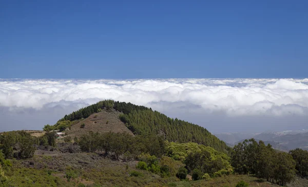 Gran Canaria, lipiec — Zdjęcie stockowe