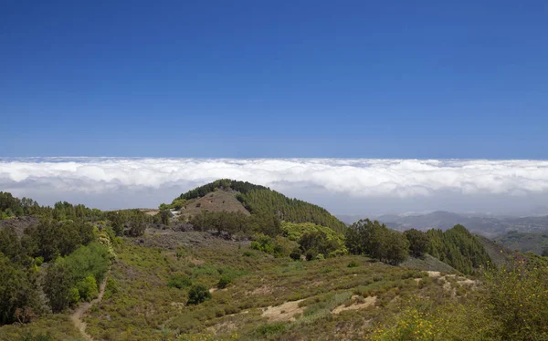 Gran Canaria, julio — Foto de Stock