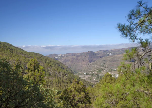 Gran Canaria, juli, Tamadaba — Stockfoto