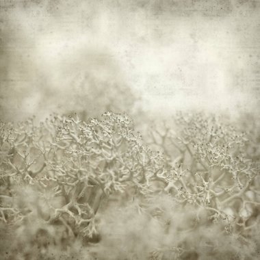 desenli eski kağıt arkaplan  