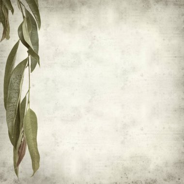 desenli eski kağıt arkaplan  