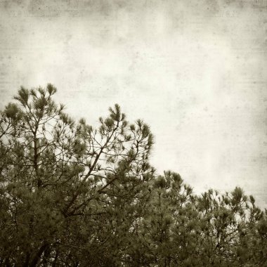 desenli eski kağıt arkaplan  