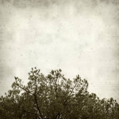 desenli eski kağıt arkaplan  