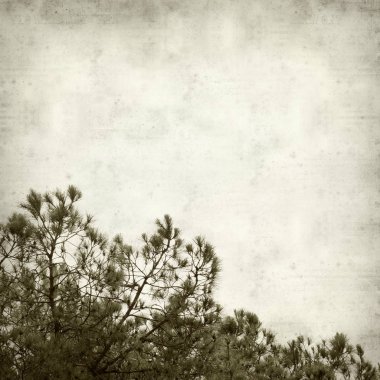 desenli eski kağıt arkaplan  