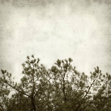 desenli eski kağıt arkaplan  