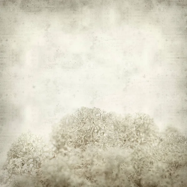 Textured old paper background — Stock Photo, Image