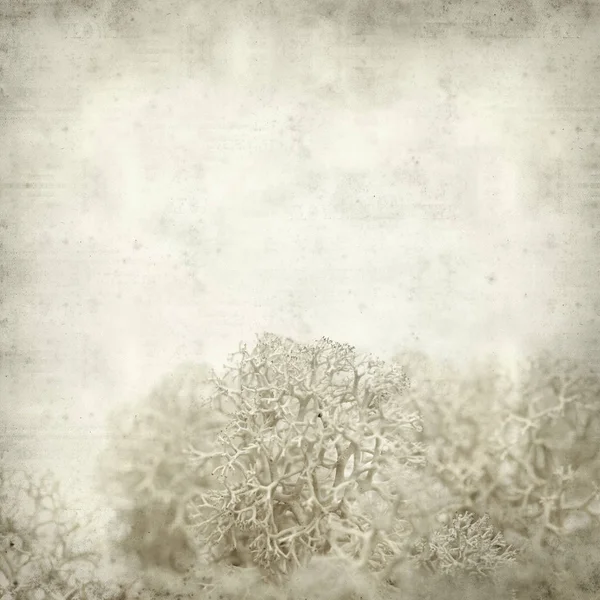 Textured old paper background — Stock Photo, Image