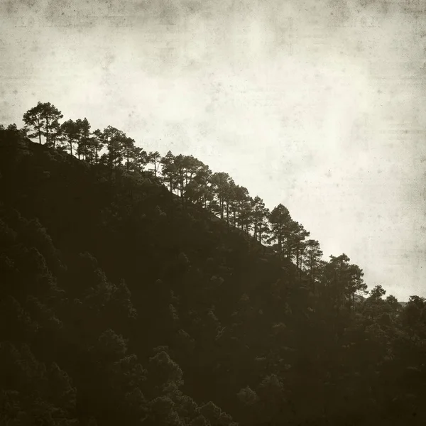 desenli eski kağıt arkaplan  