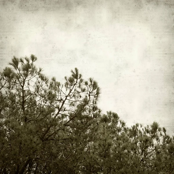 desenli eski kağıt arkaplan  