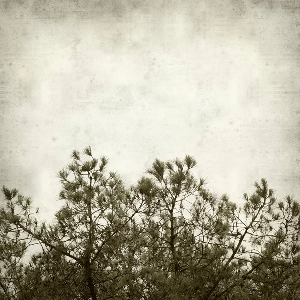 desenli eski kağıt arkaplan  