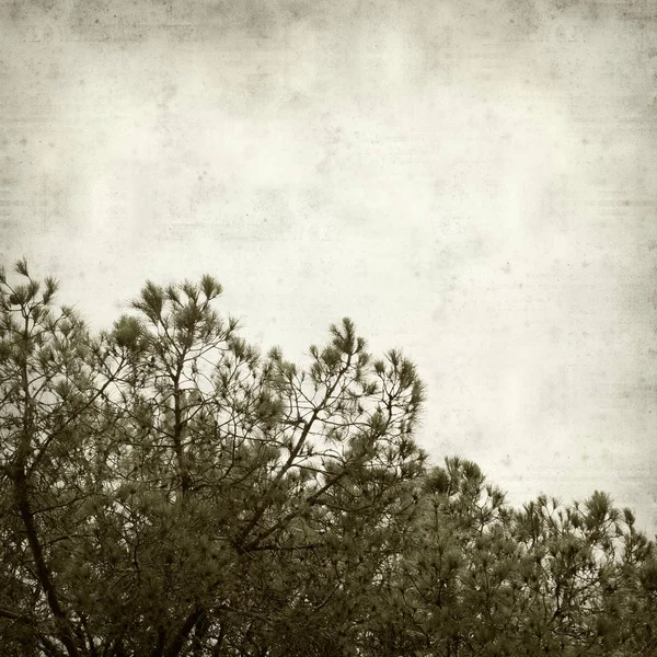 desenli eski kağıt arkaplan  